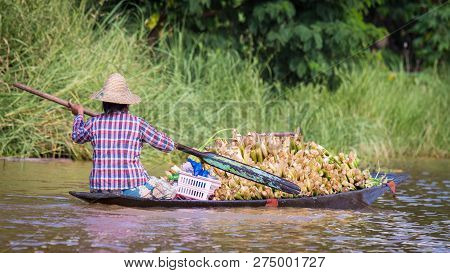 Women Rowing A Dugout Canoe In Inle Lake, Myanmar.