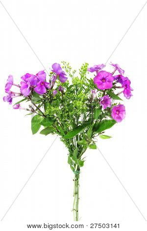 fleurs : petit bouquet de fleurs pansy avec vert herbe isolé sur fond blanc
