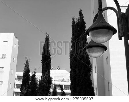 Residential Buildings And Surrounded With Green Plants In  Rishon Le Zion.