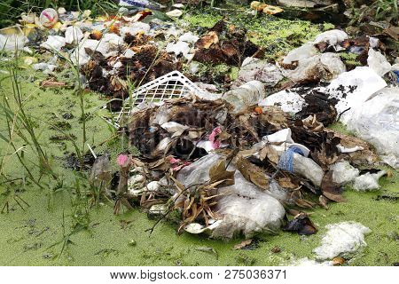 Pile Of Waste Plastic Bags And Dried Leaves, Plastic Bags In The Lake Waste Water Rotten, Garbage Mo
