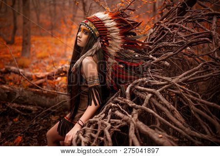 Native American. Indian Woman In Traditional Dress