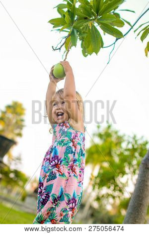 Little Girl Trying To Get A Pomello From The Tree With Funny Face And Smile
