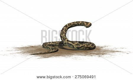 Python Snake On A Sand Area - Isolated On White Background - 3d Illustration