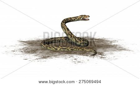Python Snake On A Sand Area - Isolated On White Background - 3d Illustration