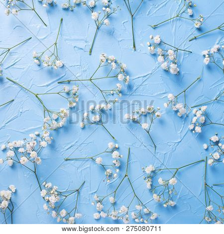 Pattern From Fresh White Gypsofila  Flowers Onvblue Textured Background. Top View. Flat Lay. Square 