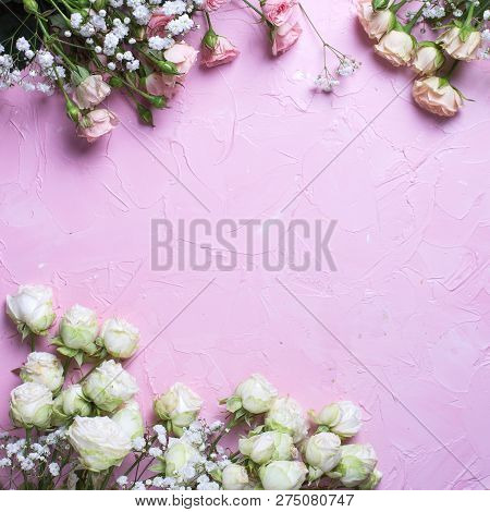 Frame From Fresh White Gypsofila And White Rose Flowers On  Pink Textured Background. Top View. Plac