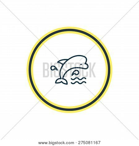 Vector Illustration Of Mammal Icon Line. Beautiful Marine Element Also Can Be Used As Bottlenose Dol