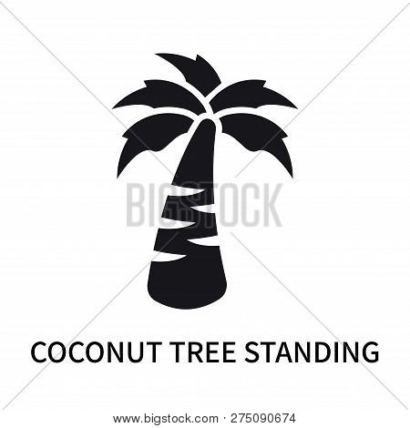 Coconut Tree Standing Icon Isolated On White Background. Coconut Tree Standing Icon Simple Sign. Coc