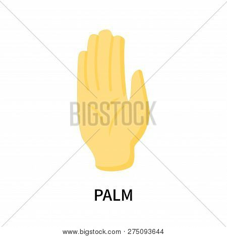 Palm Icon Isolated On White Background. Palm Icon Simple Sign. Palm Icon Trendy And Modern Symbol Fo