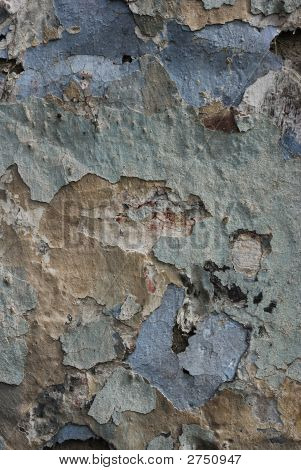 Pintado parede desarrumado com bolacha e arruinado