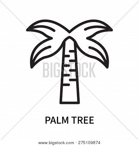 Palm Tree Icon Isolated On White Background. Palm Tree Icon Simple Sign. Palm Tree Icon Trendy And M