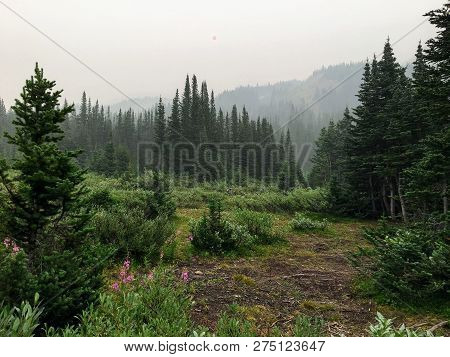 Remote And Isolated Campground Beside Hidden Lake Deep And High In The Canadian Rockies.  Pure Solit