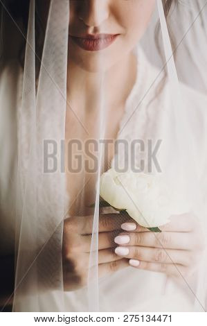 Beautiful Stylish Brunette Bride Posing In Silk Robe Under Veil In The Morning. Sensual Portrait Of