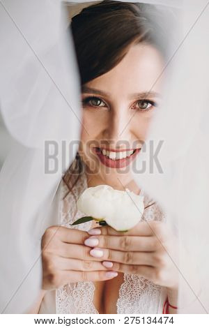 Beautiful Stylish Brunette Bride Posing In Silk Robe Under Veil In The Morning. Sensual Portrait Of