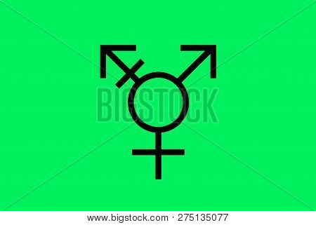 Israeli Transgender Pride Flag, Realistic Waving Flag. Symbol Of Usual Sexual Orientation.