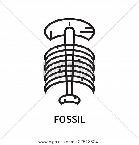 Fossil Icon Isolated On White Background. Fossil Icon Simple Sign. Fossil Icon Trendy And Modern Sym