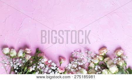 Border From Fresh White Gypsofila And White Rose Flowers On  Pink Textured Background. Top View. Pla