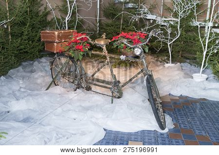 Old Retro Tandem Bicycle And Christmas Decors, Red Flowers. Travel Photo 2018. December.