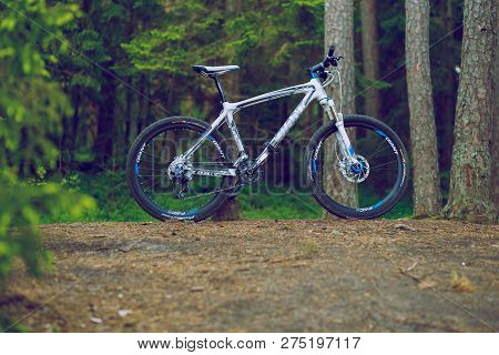 White Bicycle To Wood, Trees And Nature. Travel Photo 2015