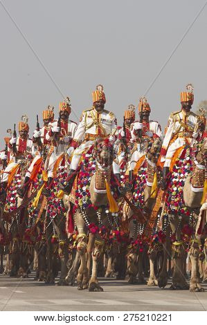 New Delhi, India - January 23, 2008: Soldiers Of The Indian Border Security Force Riding Their Camel