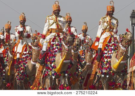 New Delhi, India - January 23, 2008: Soldiers Of The Indian Border Security Force Riding Their Camel