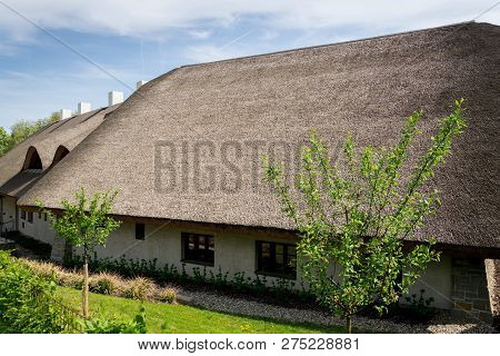 Traditional Thatched Roof From Reed, Sunny Summer Day