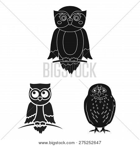 Vector Illustration Of Animal And Tattoo Sign. Collection Of Animal And Wild Vector Icon For Stock.