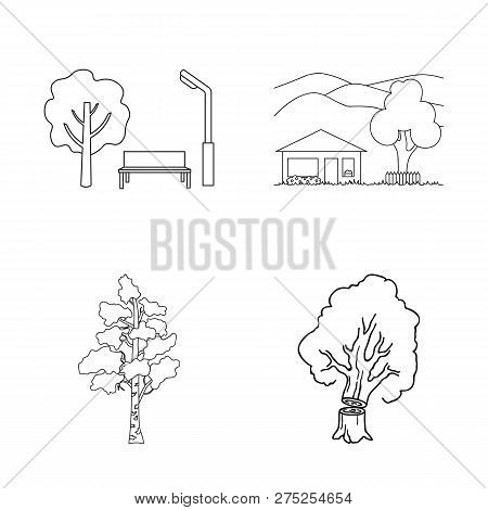 Vector Design Of Tree  And Forest Symbol. Collection Of Tree  And Green Vector Icon For Stock.