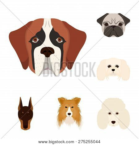 Vector Illustration Of Cute And Puppy Symbol. Set Of Cute And Animal Vector Icon For Stock.