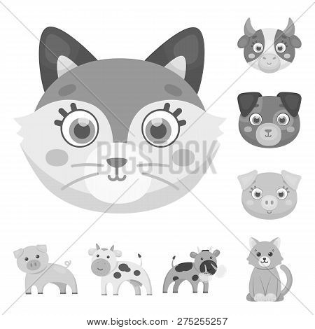 Vector Illustration Of Animal And Habitat Symbol. Set Of Animal And Farm Stock Vector Illustration.