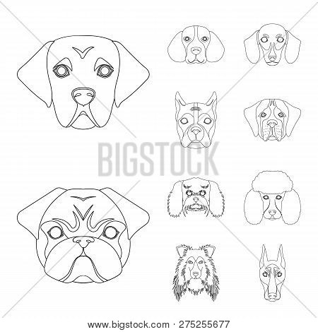 Vector Illustration Of Cute And Puppy Symbol. Set Of Cute And Animal Stock Vector Illustration.