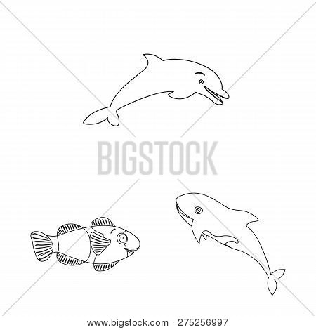 Vector Illustration Of Sea And Animal Icon. Set Of Sea And Marine Stock Symbol For Web.