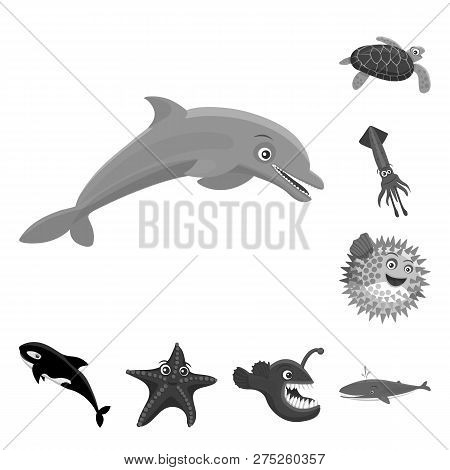 Vector Design Of Sea And Animal Icon. Collection Of Sea And Marine Vector Icon For Stock.