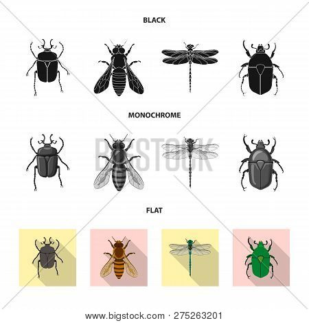 Isolated Object Of Insect And Fly Sign. Collection Of Insect And Element Vector Icon For Stock.