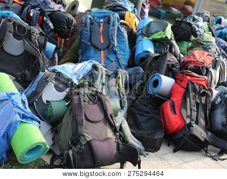 Many Backpacks Of Boys And Girl Scout During The Summer Camp