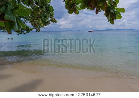 Shady Beach On The Island Of Koh Kradan. Andaman Sea, Trang Province, Southern Thailand