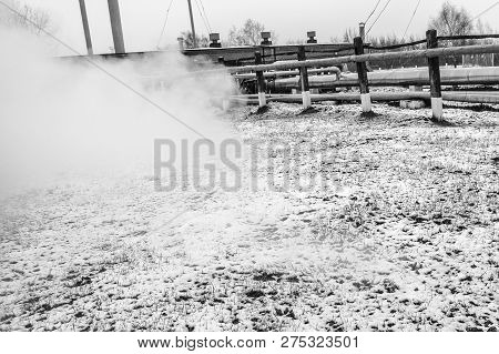 Pipe Rack With Pipes In Superheated High-pressure Steam At An Oil Refinery Petrochemical Chemical Pl