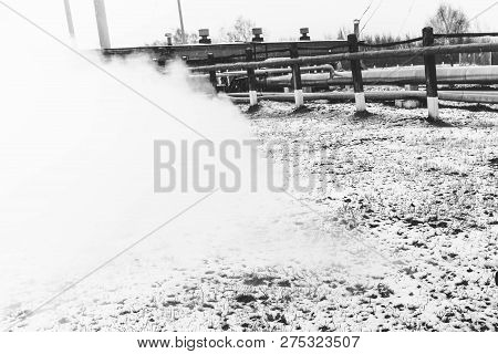 Pipe Rack With Pipes In Superheated High-pressure Steam At An Oil Refinery Petrochemical Chemical Pl