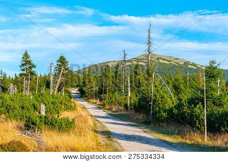 Tourist Road In The Middle Of Mountain Landscape, Giant Mountains, Krkonose, Czech Republic