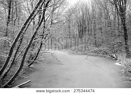 Icy Stream Winter Scenery In The Reedcorner 2