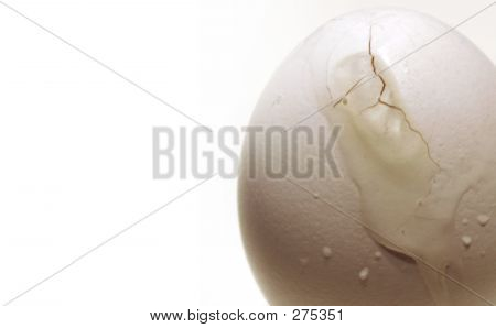 Eier
