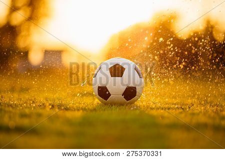 A Ball On The Green Grass Field For Soccer Football Game Under The Sunset Ray Light And Rain. Pictur