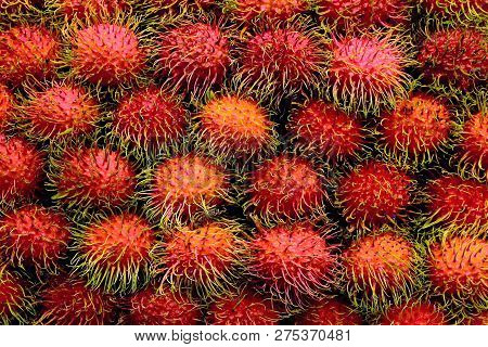 Rambutan Fresh, Rambutans Fruit Many For Background, Rambutan Sweet Delicious Fruit, Red Healthy Fru