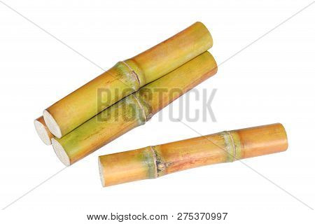 Sugar Cane Heap, Pile Of Cane, Sugarcane Piece Fresh, Sugar Cane On White Background, Sugarcane Fres
