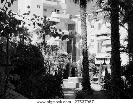Residential Buildings And Fountain Surrounded With Green Plants In  Rishon Le Zion.