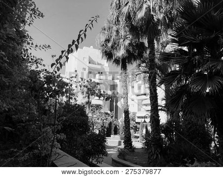 Residential Buildings And Fountain Surrounded With Green Plants In  Rishon Le Zion.