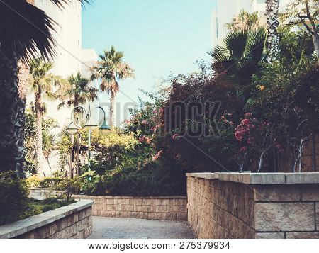 Residential Buildings And Surrounded With Green Plants In  Rishon Le Zion.