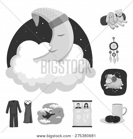 Vector Design Of Dreams And Night Icon. Set Of Dreams And Bedroom Vector Icon For Stock.
