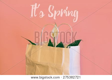 It's Spring Text. Spatifilum Flowers In White Paper Gift Bag, Spring Flowers On Pink Background.