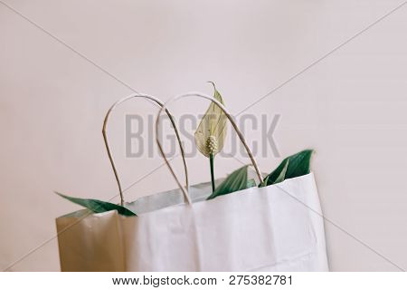 Spatifilum Flowers In White Paper Gift Bag, Spring Flowers On A White Platered Background, With Copy